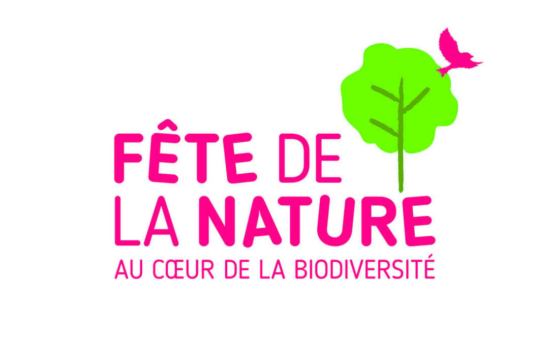 14e édition de la Fête de la Nature : découverte du sol et ses besoins