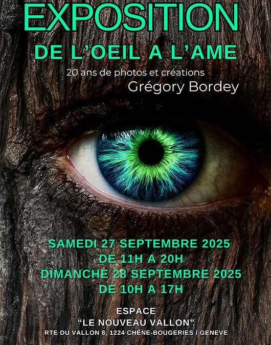 De l&rsquo;oeil à l&rsquo;âme : exposition de Grégory Bordey