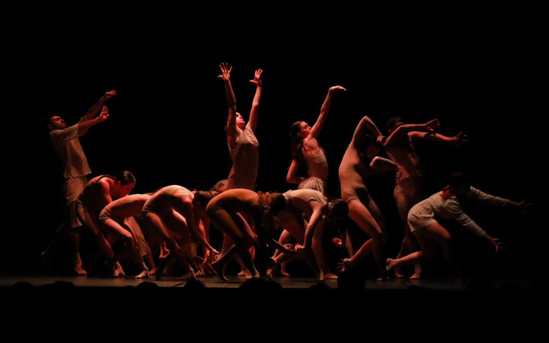 Area Jeune Ballet
