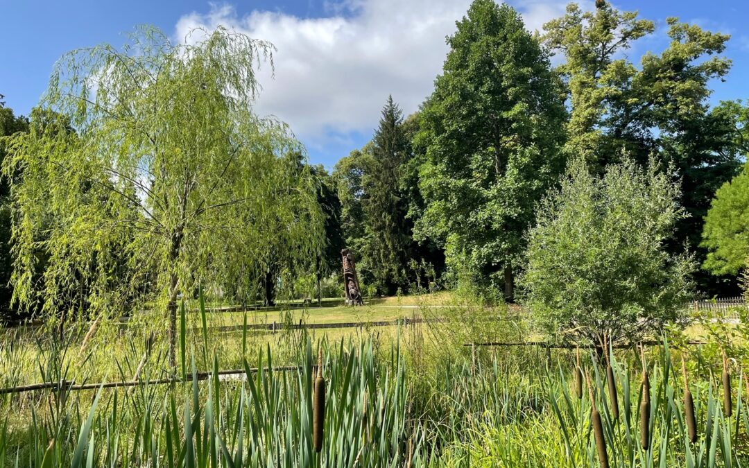 Parc Stagni – fermeture temporaire