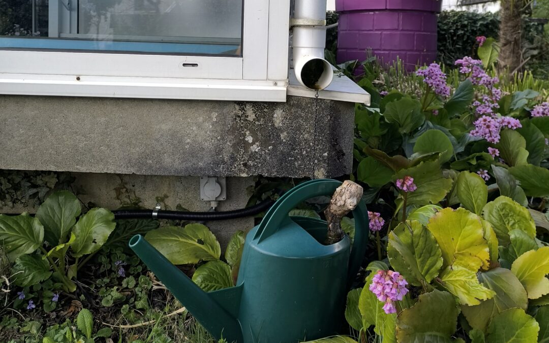 Par ici la pluie ! Prendre soin de l’eau à la parcelle